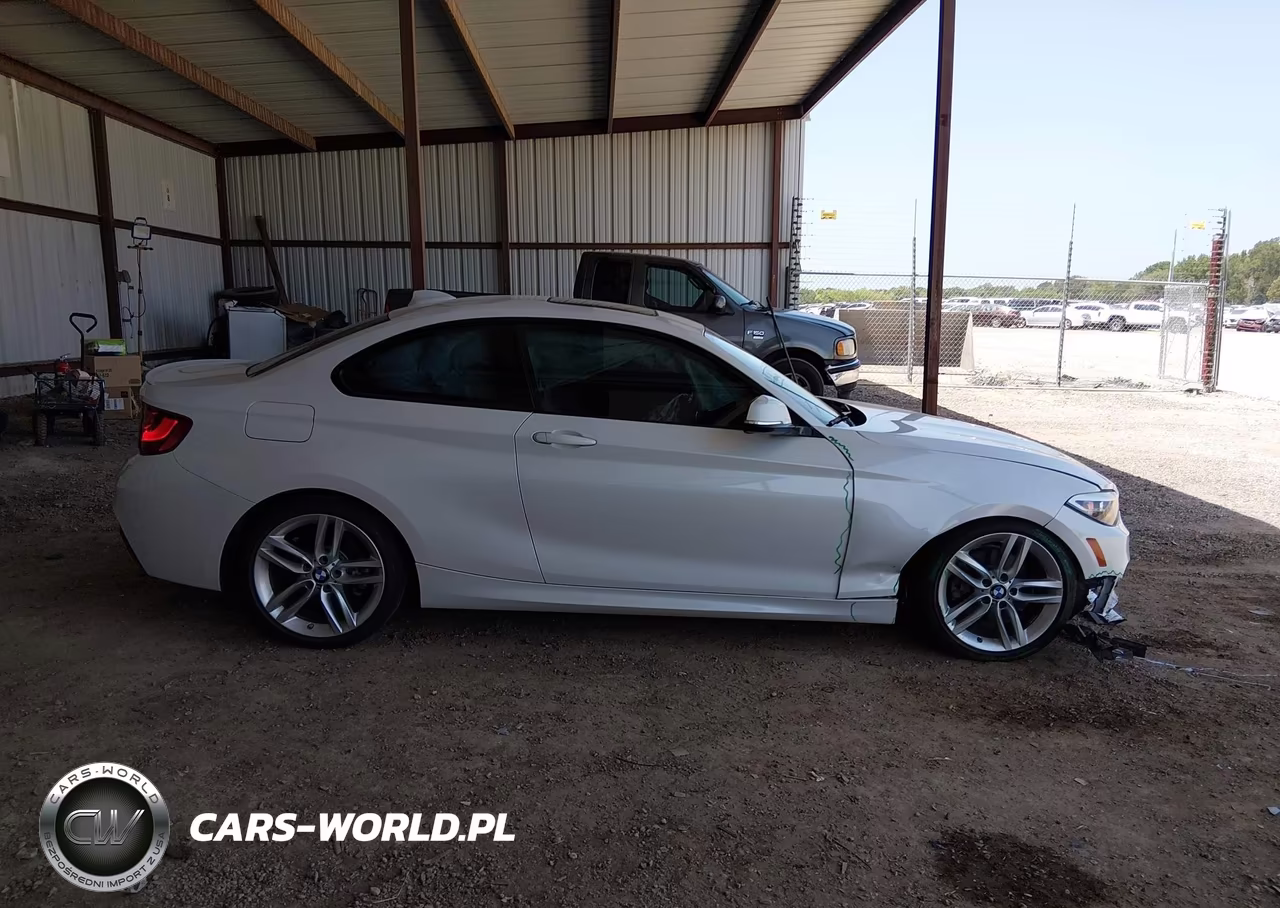2015 BMW 228I VIN:WBA1F5C53FV257668 - 13