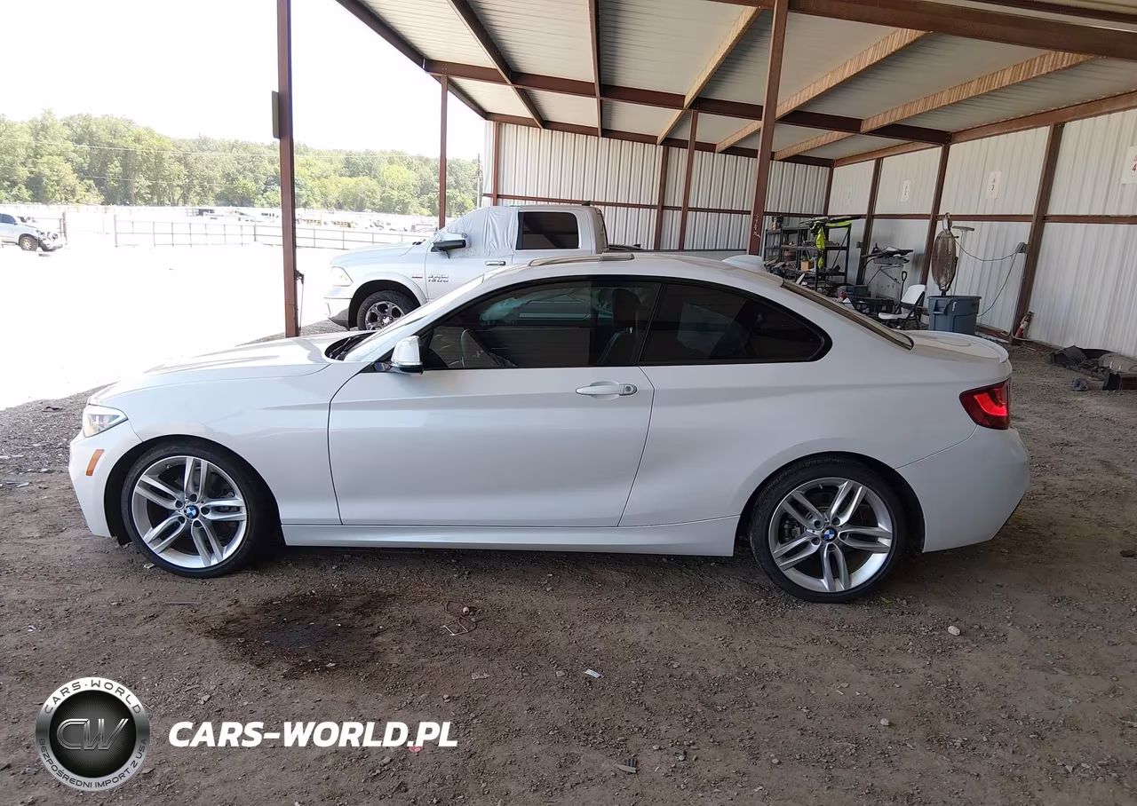 2015 BMW 228I VIN:WBA1F5C53FV257668 - 14