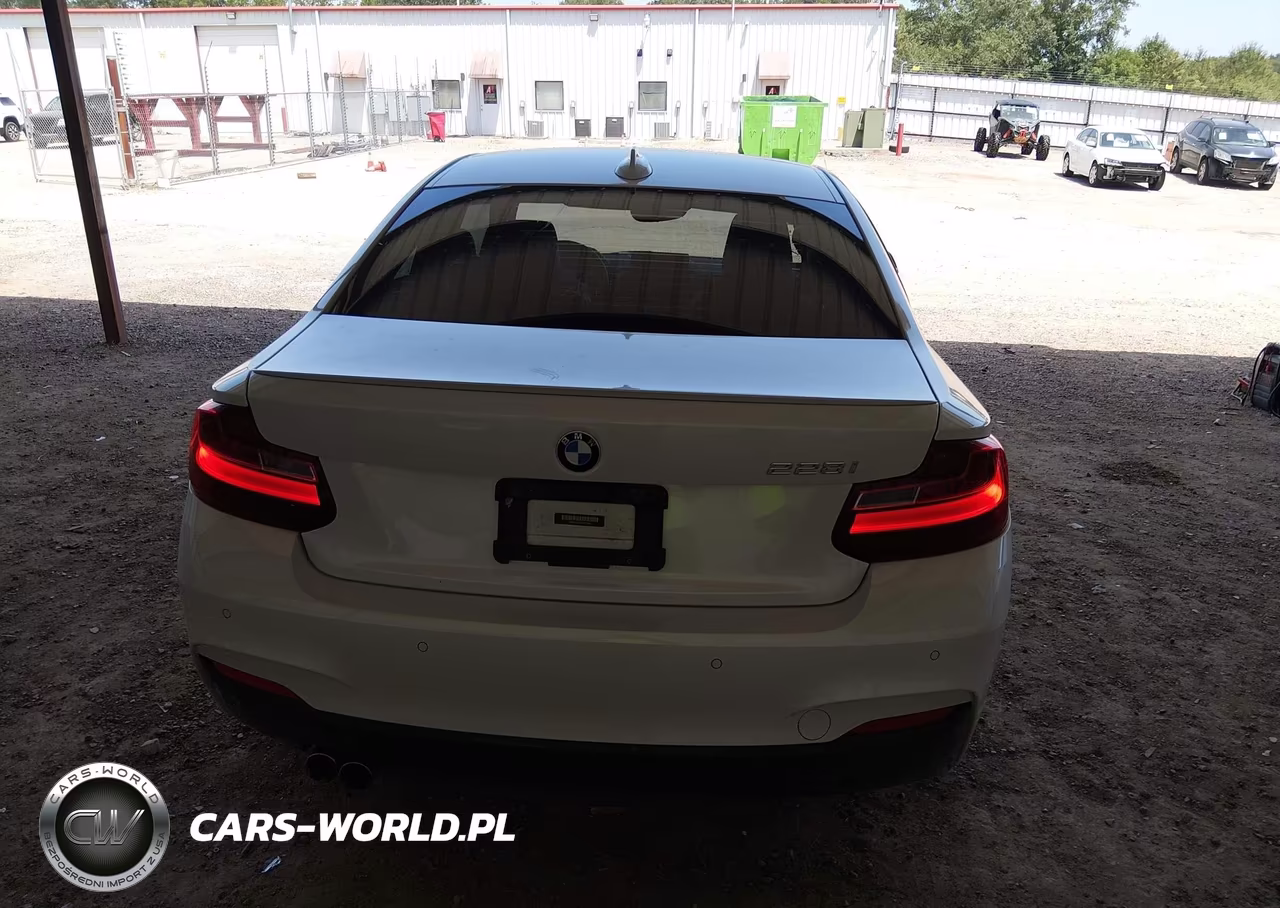 2015 BMW 228I VIN:WBA1F5C53FV257668 - 16