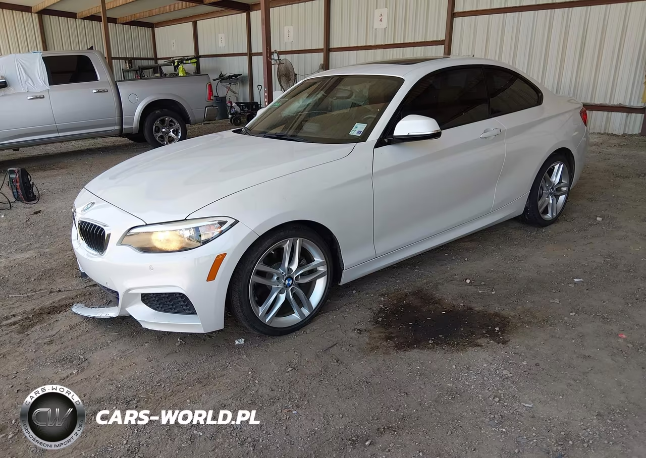 2015 BMW 228I VIN:WBA1F5C53FV257668 - 2