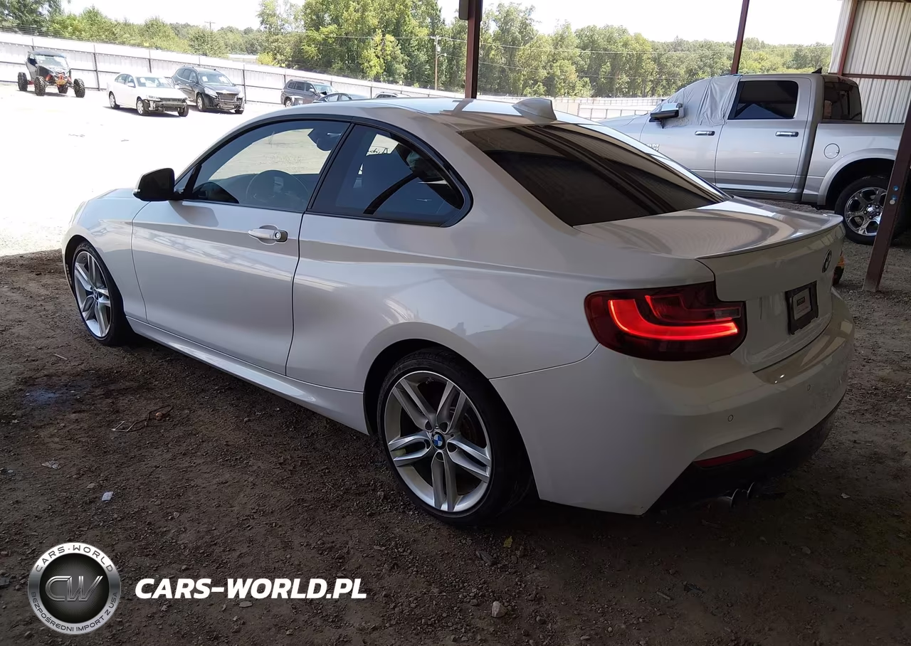 2015 BMW 228I VIN:WBA1F5C53FV257668 - 3