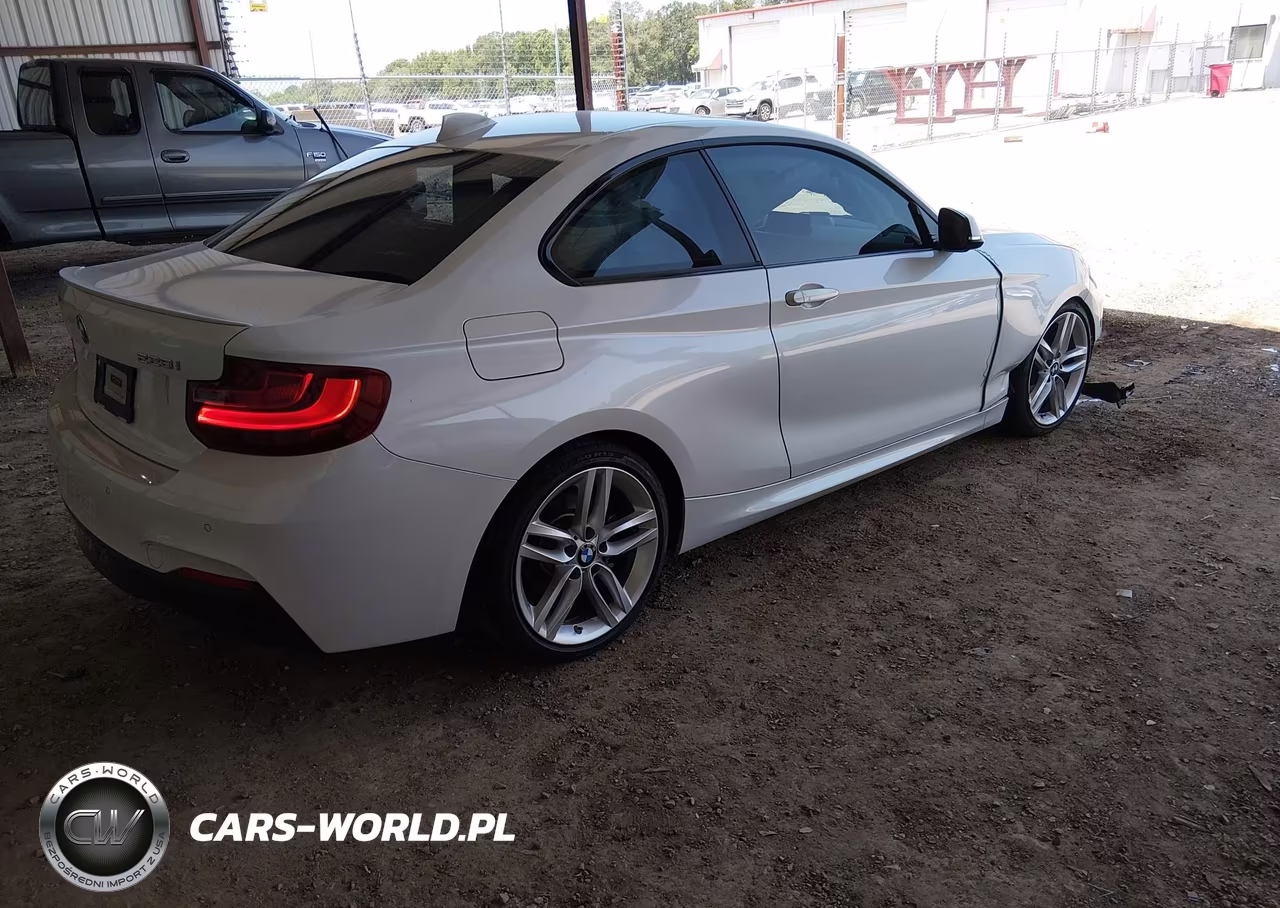 2015 BMW 228I VIN:WBA1F5C53FV257668 - 4