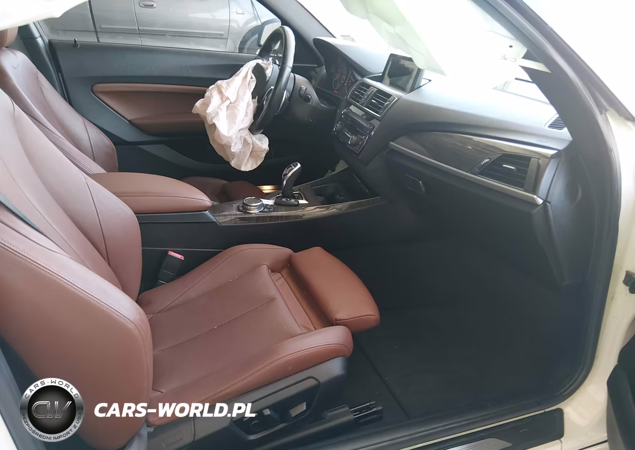 2015 BMW 228I VIN:WBA1F5C53FV257668 - 5