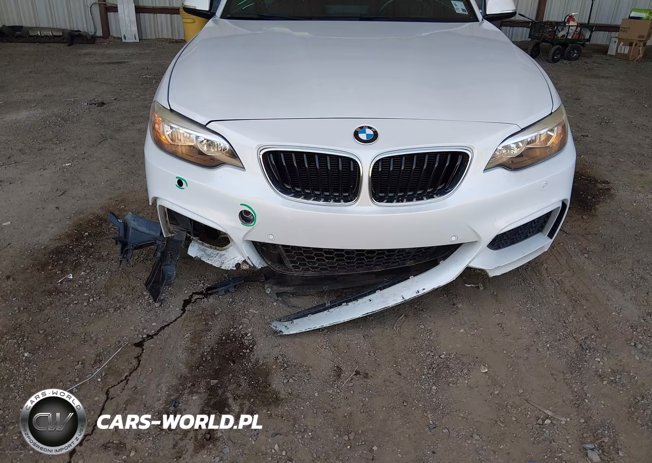 2015 BMW 228I VIN:WBA1F5C53FV257668 - 6