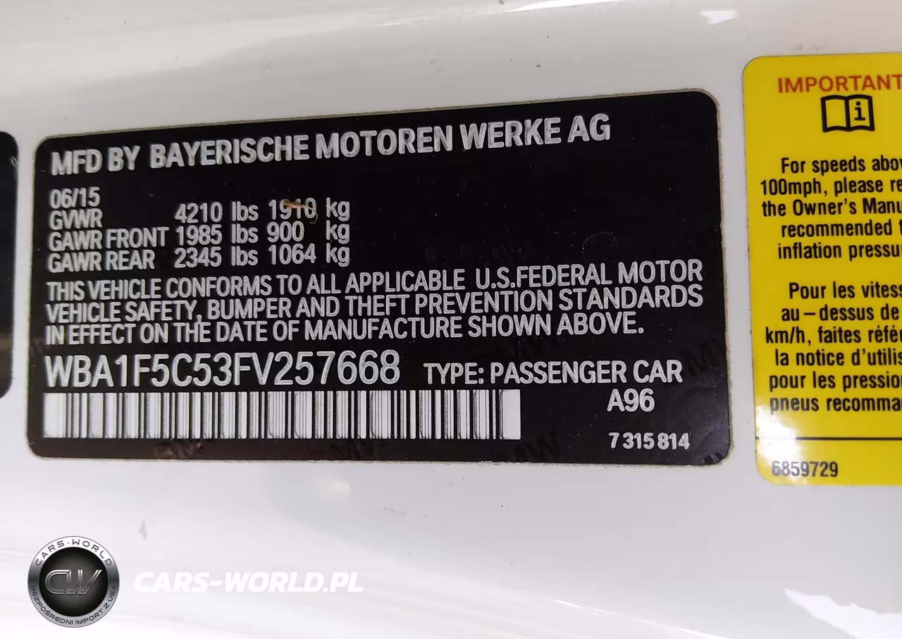 2015 BMW 228I VIN:WBA1F5C53FV257668 - 9