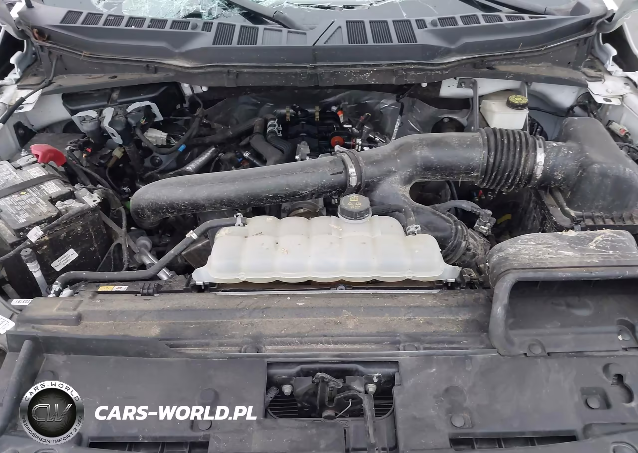 2024 Ford F-150 Xl VIN:1FTFW1L83RKE54079 - 10