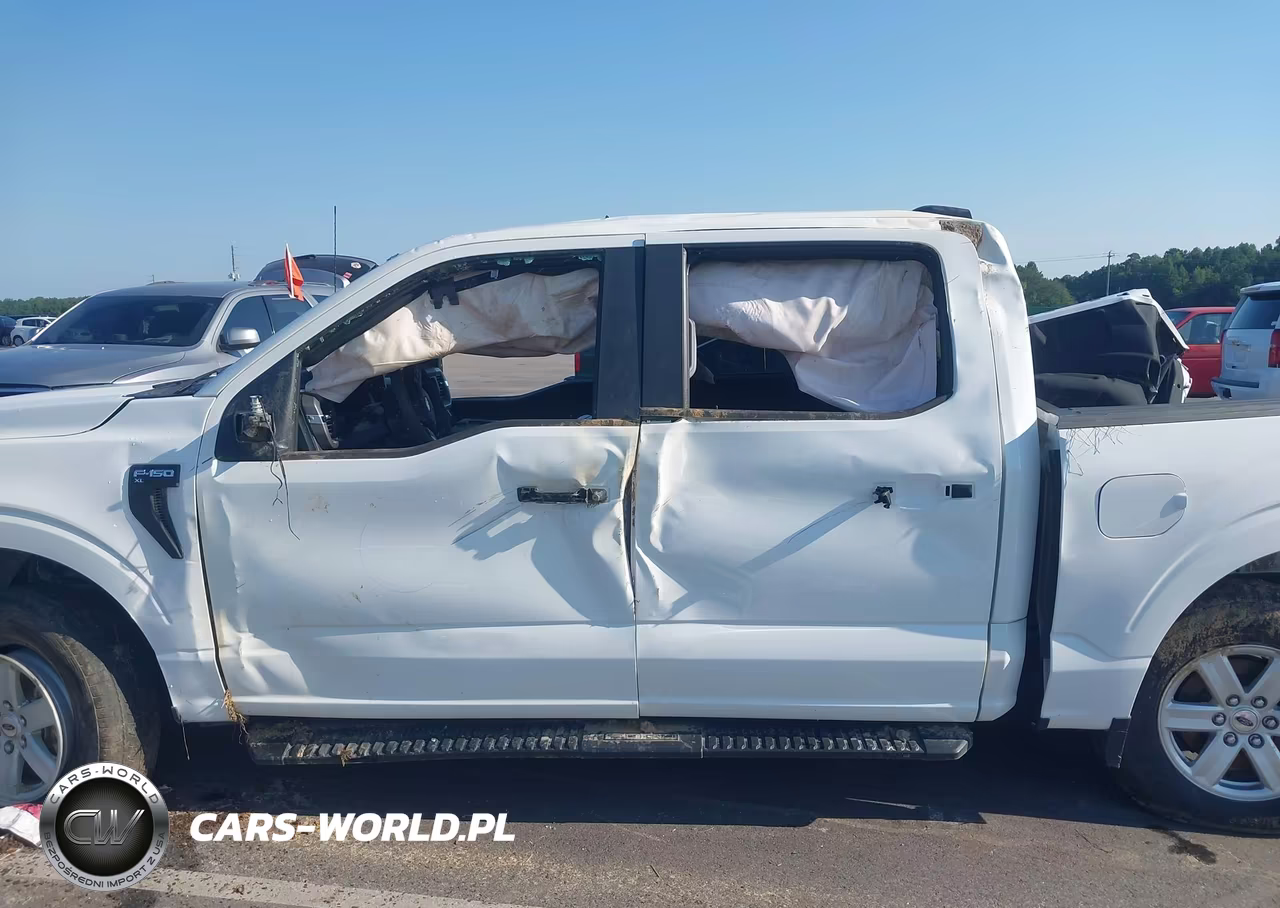 2024 Ford F-150 Xl VIN:1FTFW1L83RKE54079 - 14