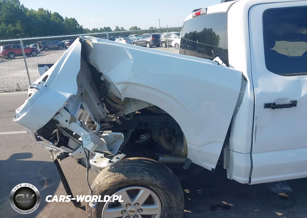 2024 Ford F-150 Xl VIN:1FTFW1L83RKE54079 - 17