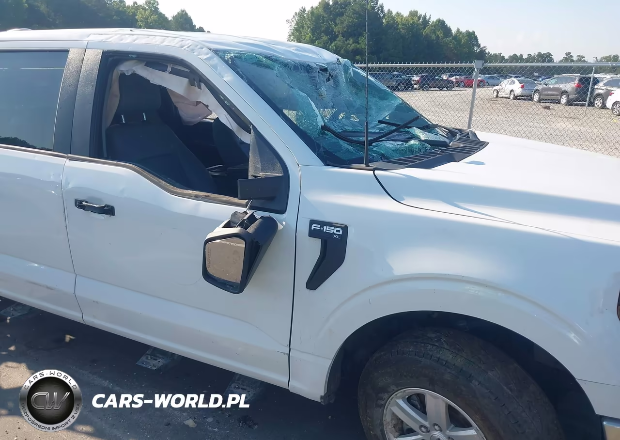 2024 Ford F-150 Xl VIN:1FTFW1L83RKE54079 - 18