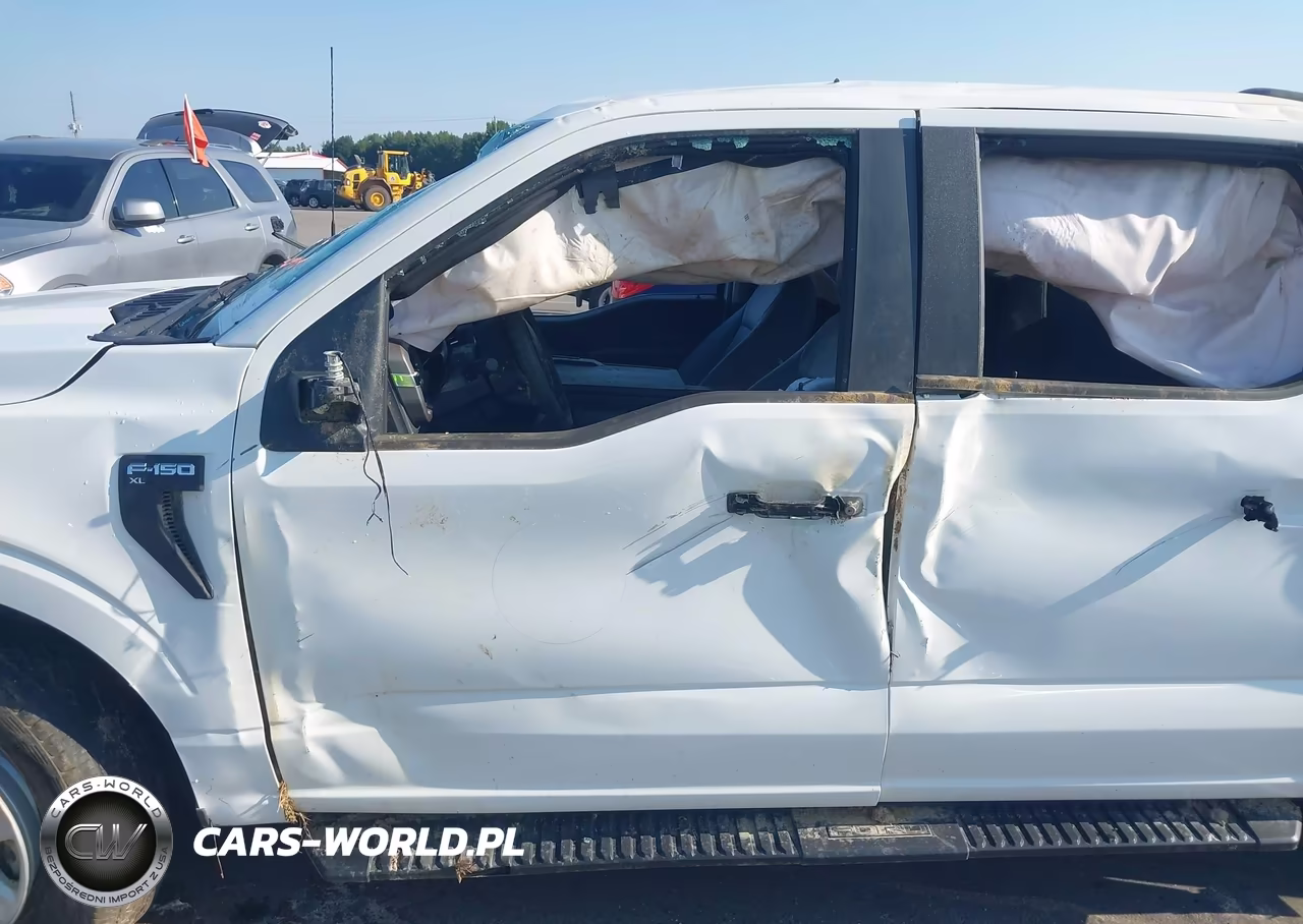 2024 Ford F-150 Xl VIN:1FTFW1L83RKE54079 - 20
