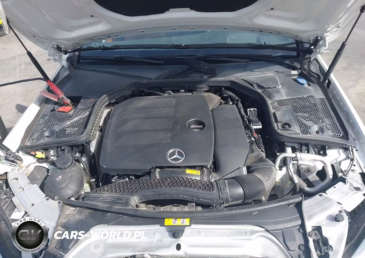 2023 Mercedes-Benz C 300 Cabriolet VIN:W1KWK8DB9PG124225 - 10