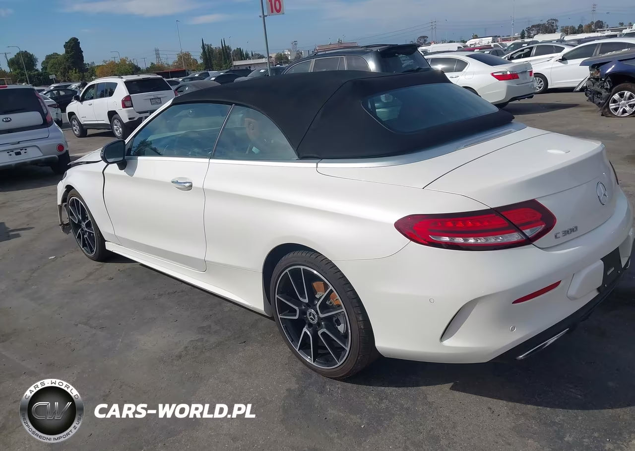 2023 Mercedes-Benz C 300 Cabriolet VIN:W1KWK8DB9PG124225 - 3