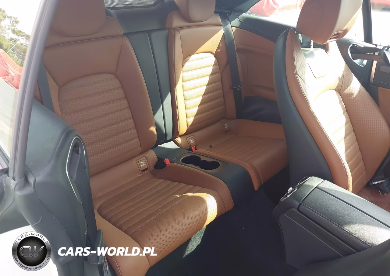 2023 Mercedes-Benz C 300 Cabriolet VIN:W1KWK8DB9PG124225 - 8