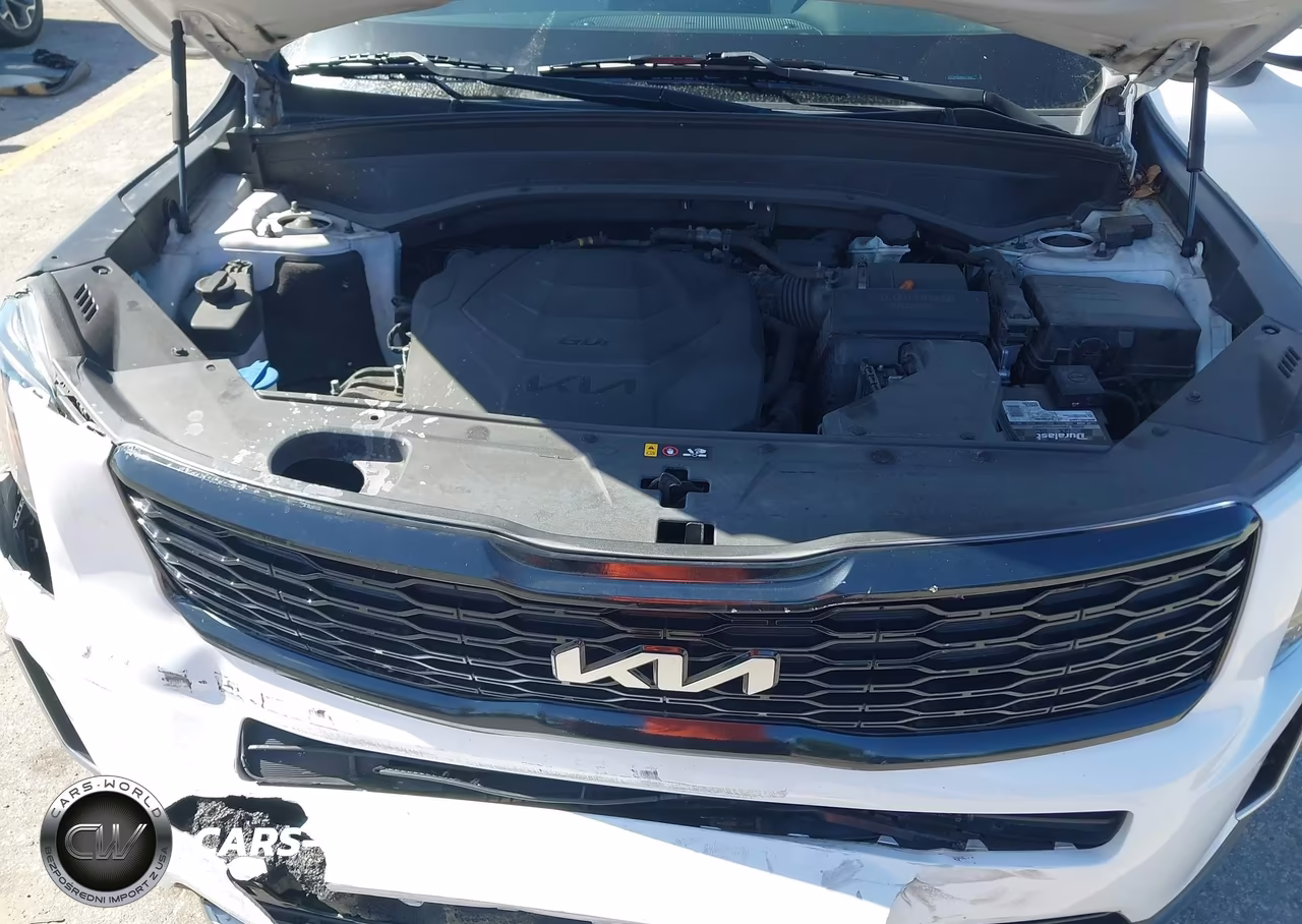 2022 Kia Telluride Ex VIN:5XYP34HCXNG227550 - 10