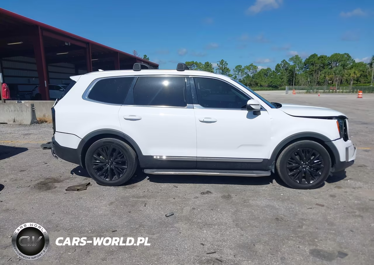 2022 Kia Telluride Ex VIN:5XYP34HCXNG227550 - 14