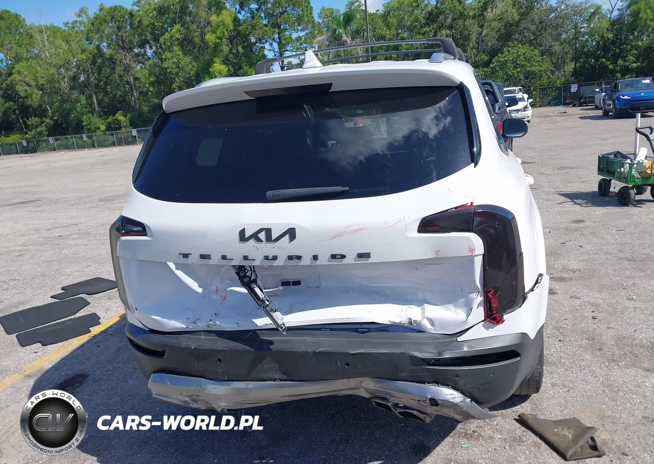 2022 Kia Telluride Ex VIN:5XYP34HCXNG227550 - 17
