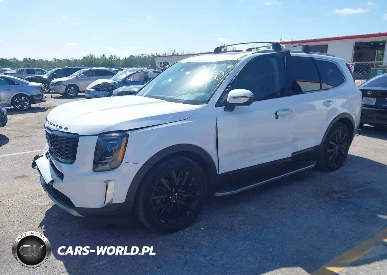 2022 Kia Telluride Ex VIN:5XYP34HCXNG227550 - 2