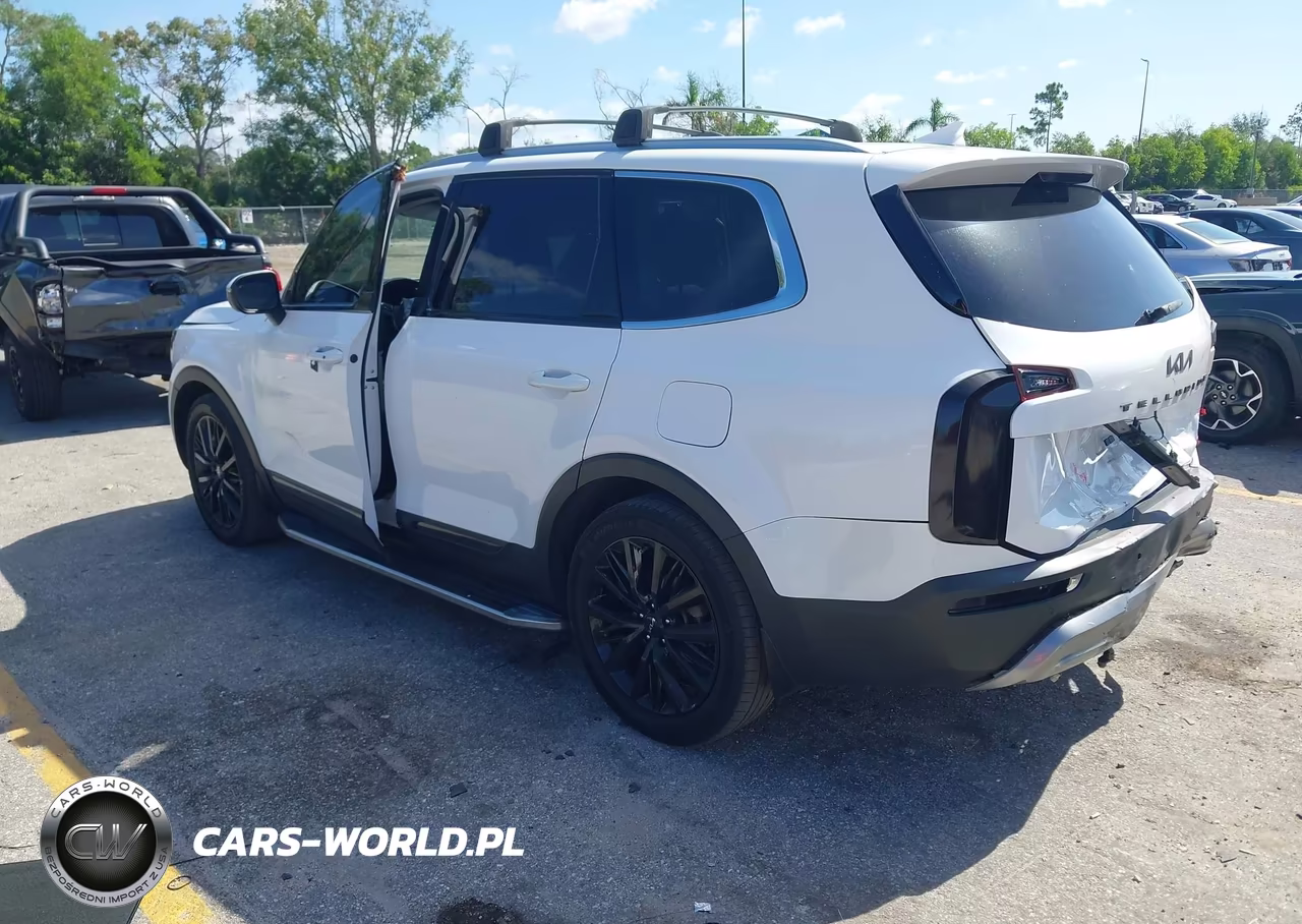 2022 Kia Telluride Ex VIN:5XYP34HCXNG227550 - 3