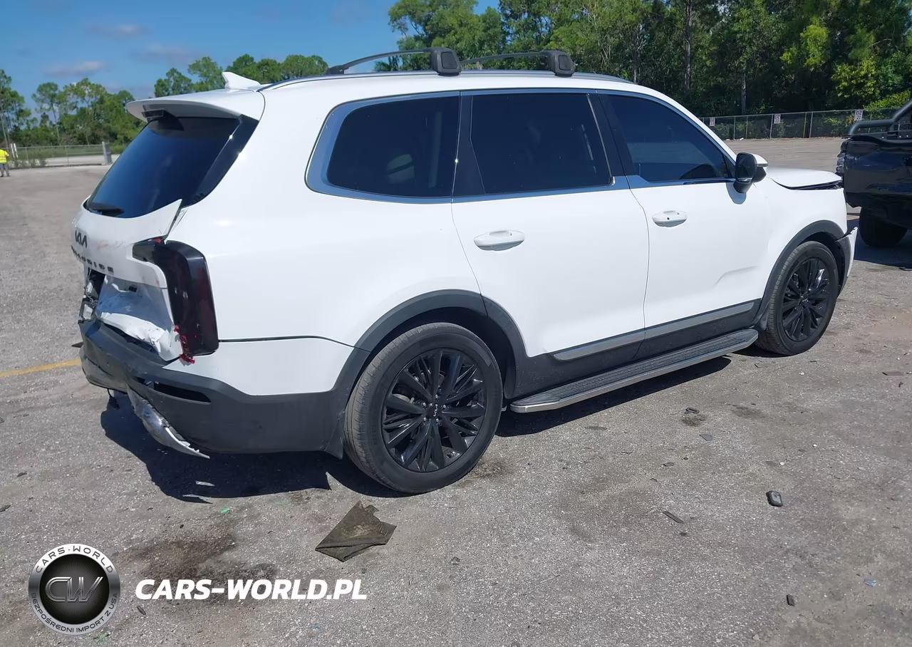 2022 Kia Telluride Ex VIN:5XYP34HCXNG227550 - 4