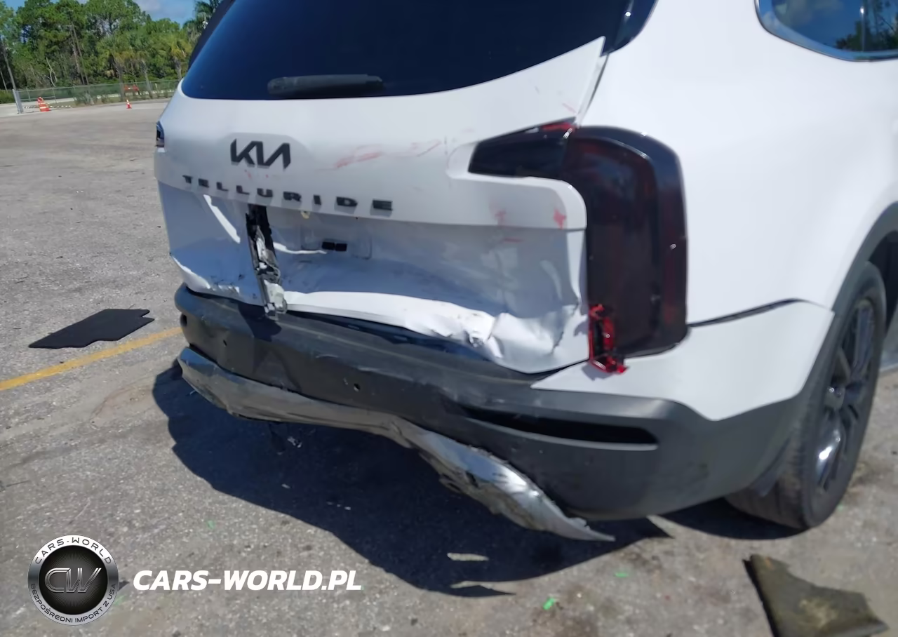 2022 Kia Telluride Ex VIN:5XYP34HCXNG227550 - 6