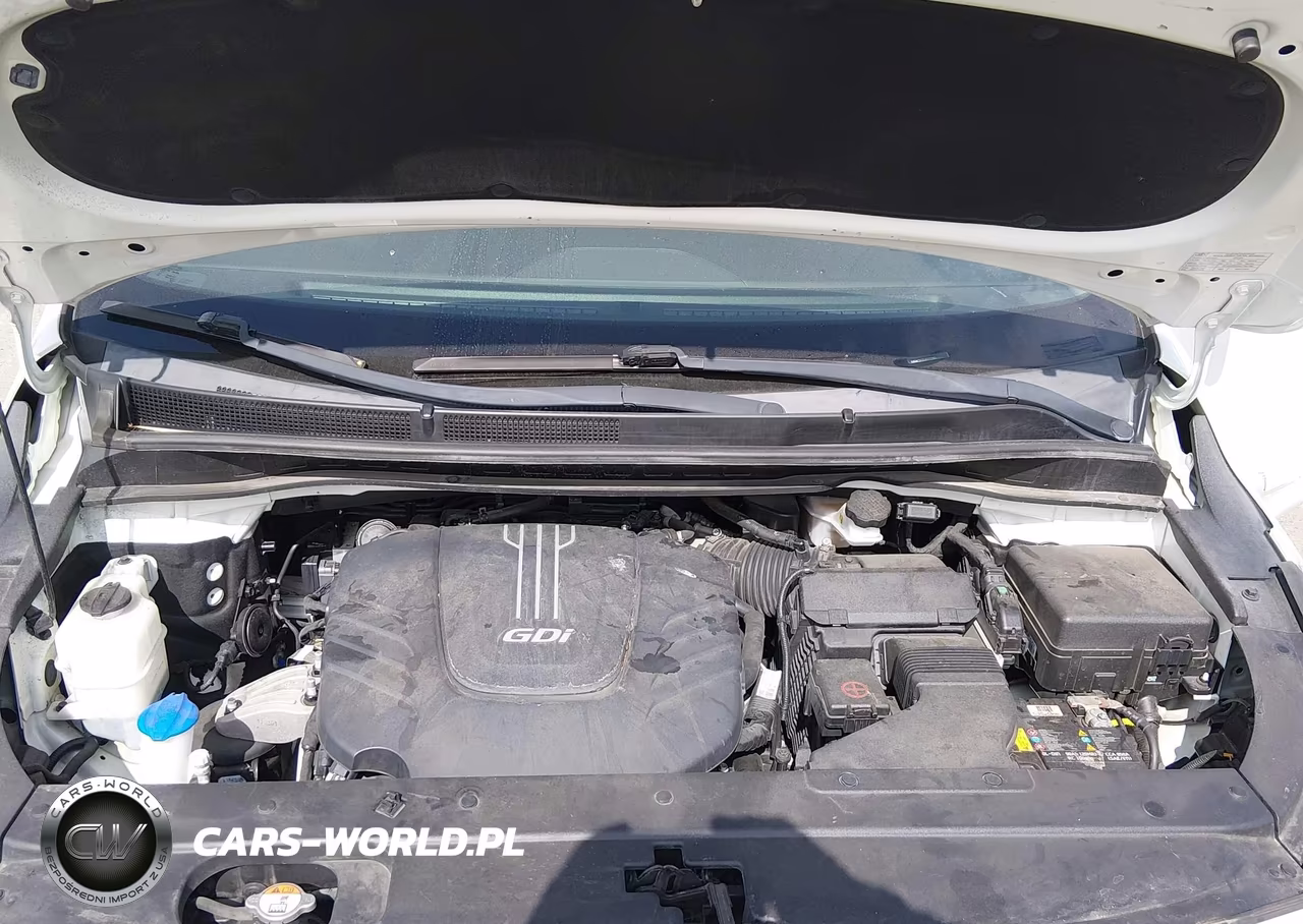 2018 Kia Sedona Sx VIN:KNDMC5C13J6372280 - 10