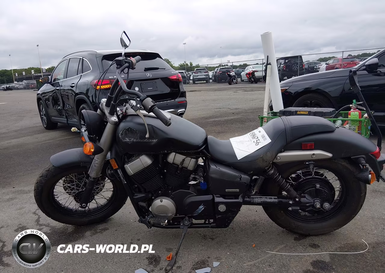 2013 Honda Vt750 C2B VIN:JH2RC5372DK301858 - 13