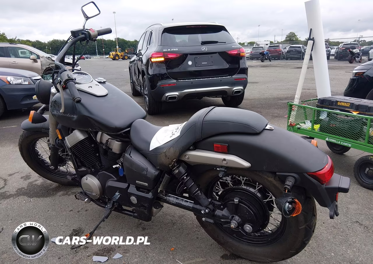 2013 Honda Vt750 C2B VIN:JH2RC5372DK301858 - 3