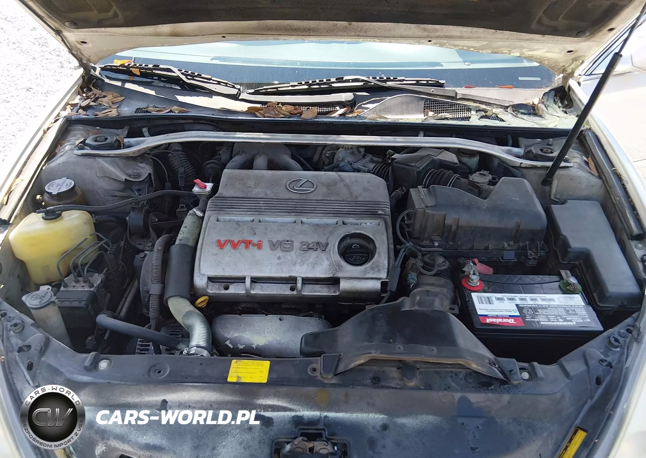2002 Lexus Es 300 VIN:JTHBF30GX20052422 - 10