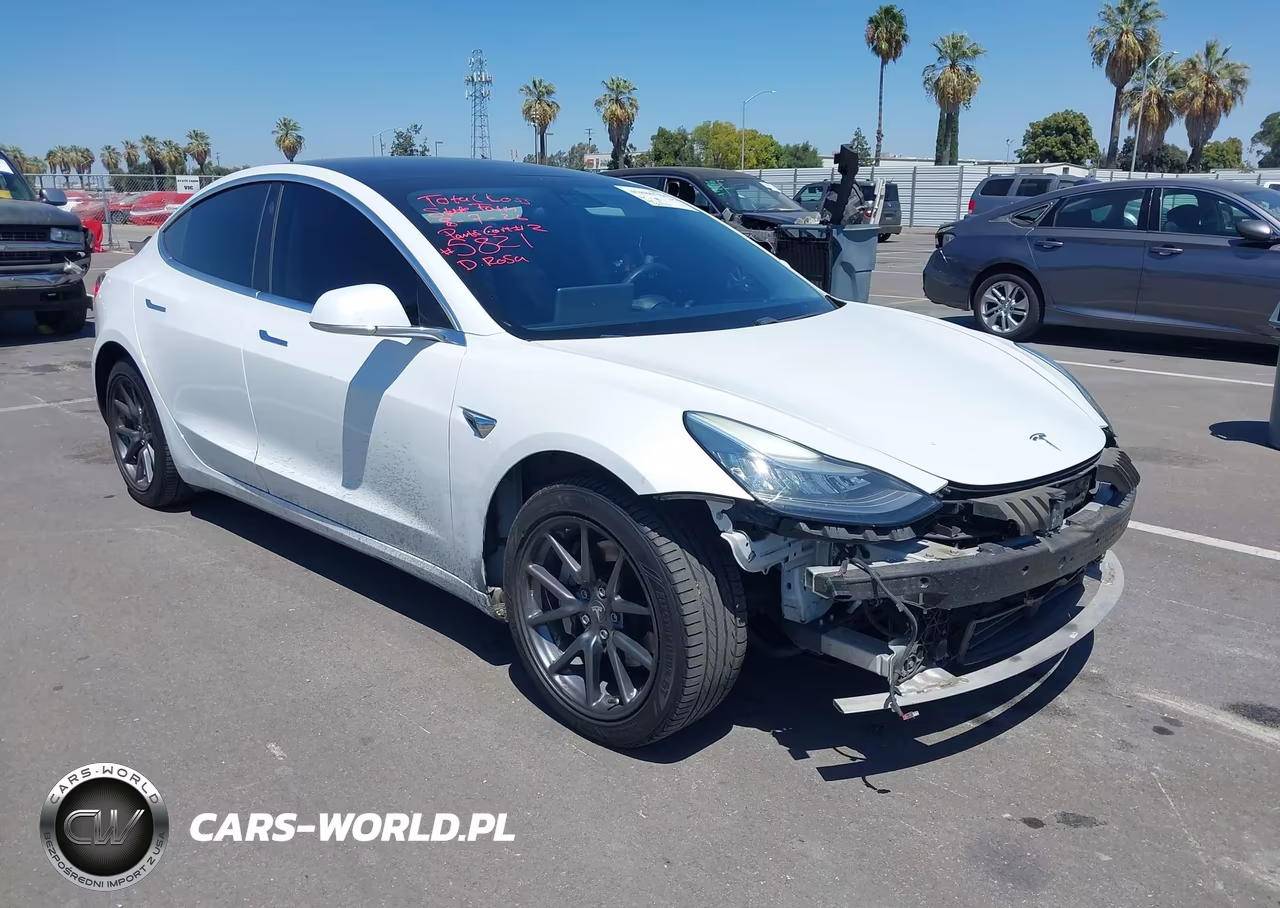 2020 Tesla Model 3 Standard Range Plus Rear-Wheel Drive-Standard Range Rear-Wheel Drive – zdjęcie 1 z 19