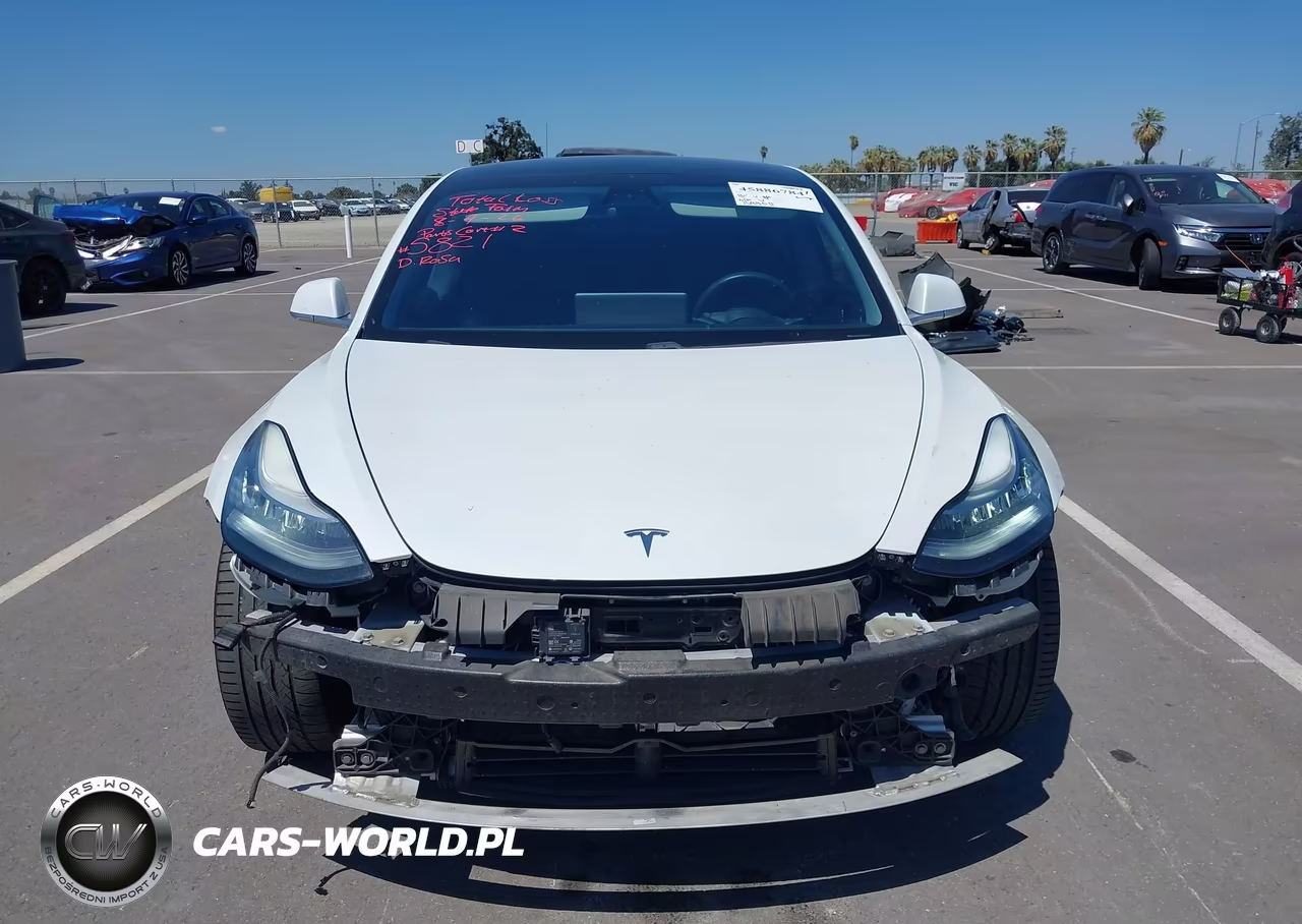 2020 Tesla Model 3 Standard Range Plus Rear-Wheel Drive-Standard Range Rear-Wheel Drive VIN:5YJ3E1EA3LF706746 - 13