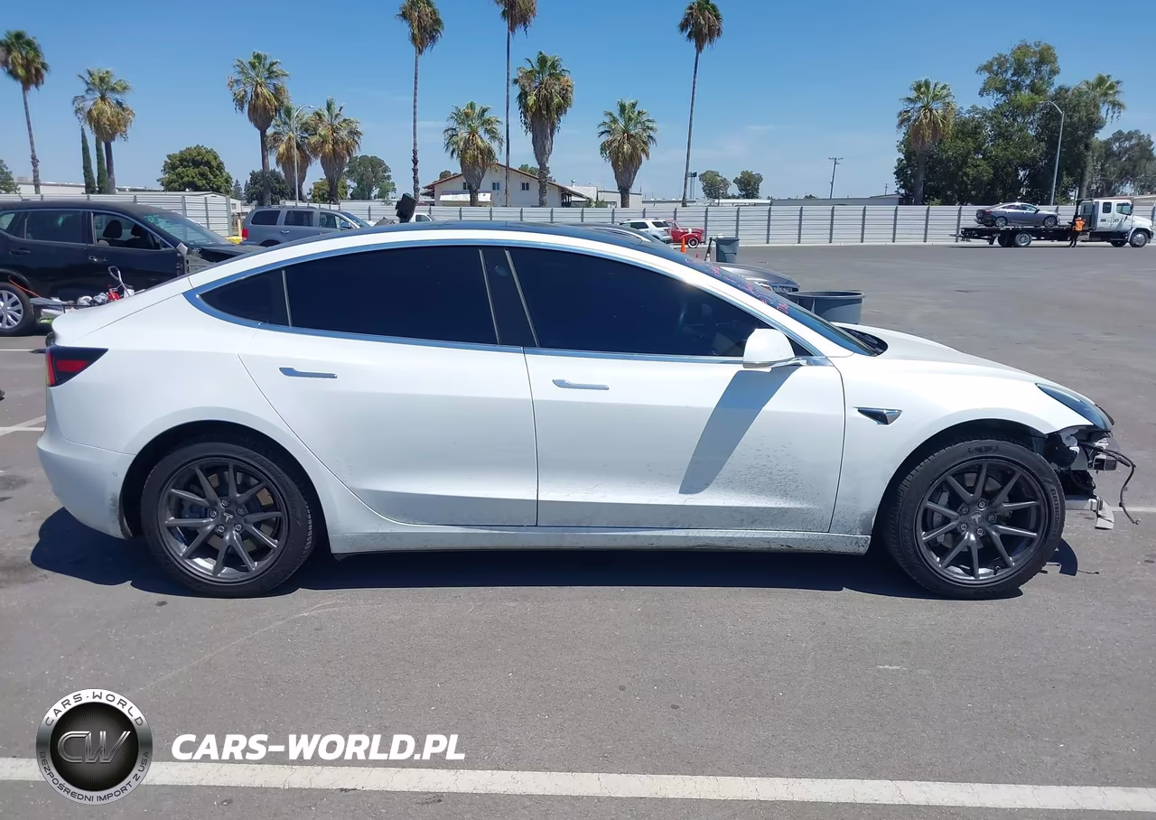 2020 Tesla Model 3 Standard Range Plus Rear-Wheel Drive-Standard Range Rear-Wheel Drive VIN:5YJ3E1EA3LF706746 - 14