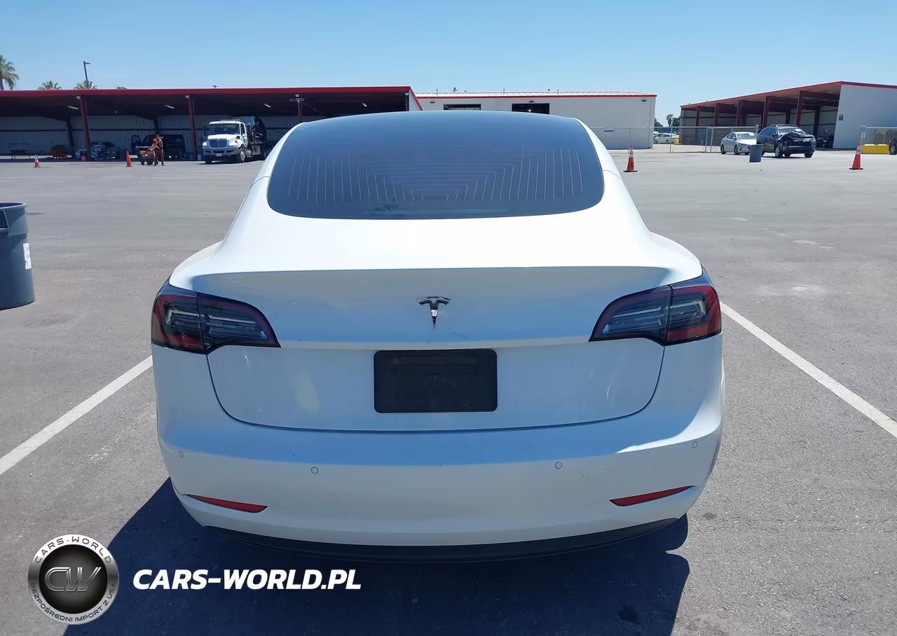 2020 Tesla Model 3 Standard Range Plus Rear-Wheel Drive-Standard Range Rear-Wheel Drive VIN:5YJ3E1EA3LF706746 - 17