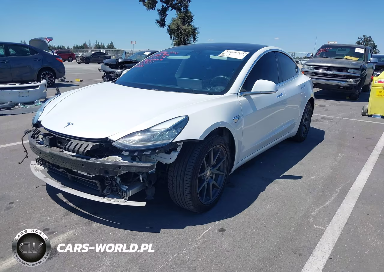 2020 Tesla Model 3 Standard Range Plus Rear-Wheel Drive-Standard Range Rear-Wheel Drive VIN:5YJ3E1EA3LF706746 - 2