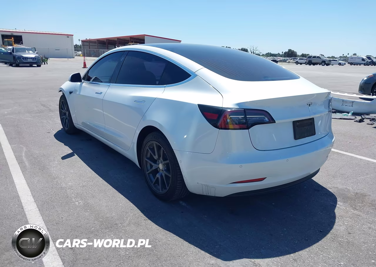 2020 Tesla Model 3 Standard Range Plus Rear-Wheel Drive-Standard Range Rear-Wheel Drive VIN:5YJ3E1EA3LF706746 - 3