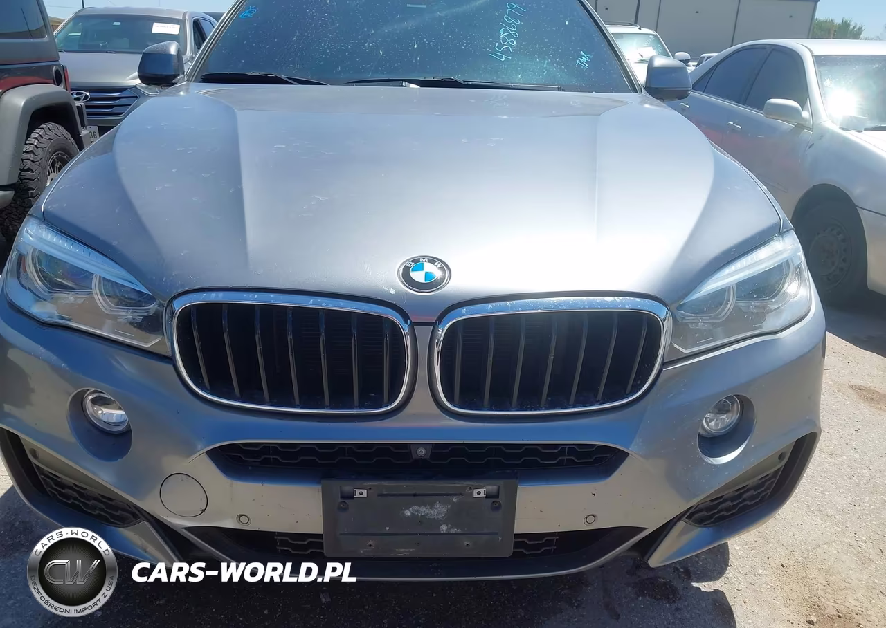 2017 BMW X6 Sdrive35I VIN:5UXKU0C39H0G69352 - 12