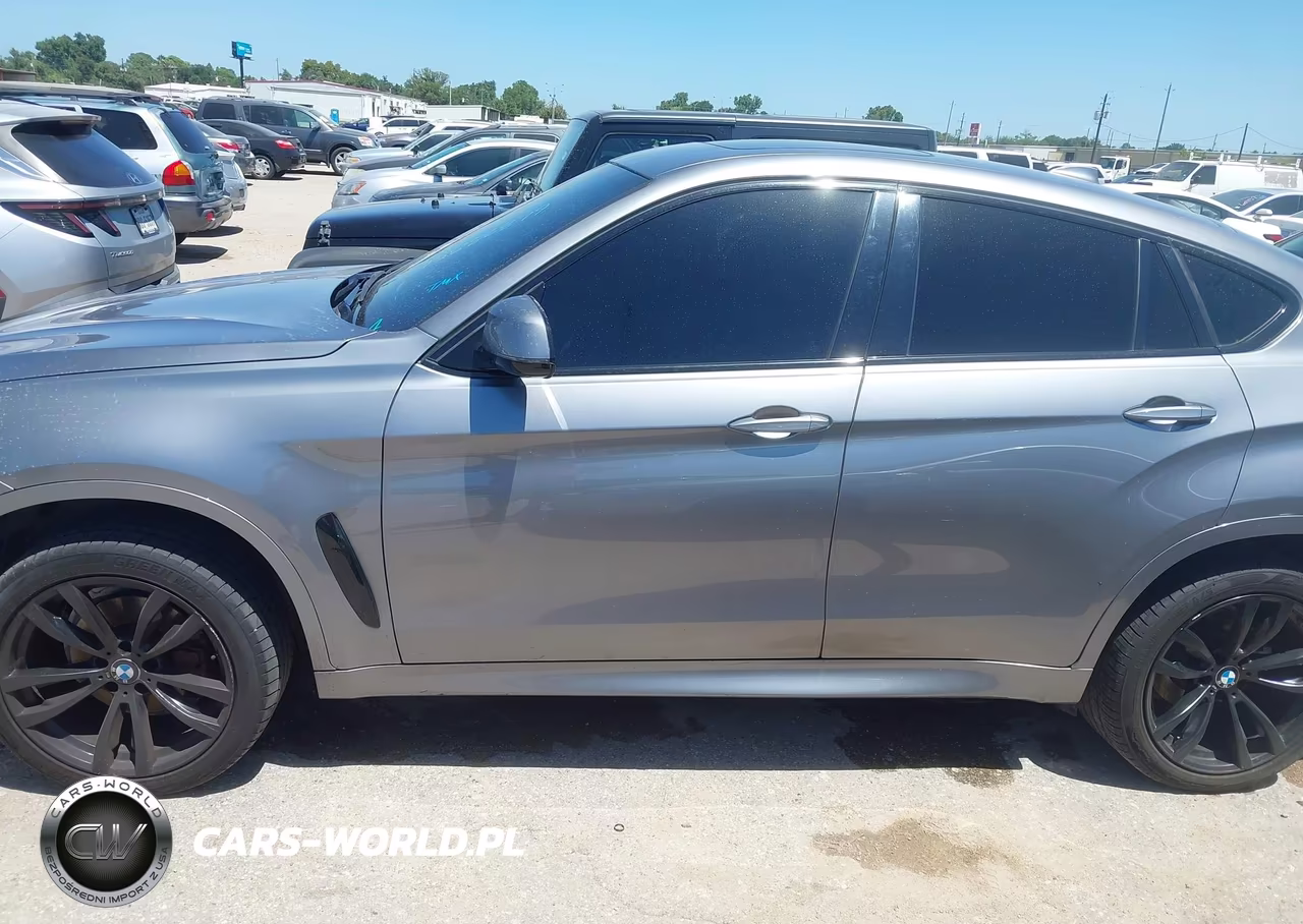 2017 BMW X6 Sdrive35I VIN:5UXKU0C39H0G69352 - 14