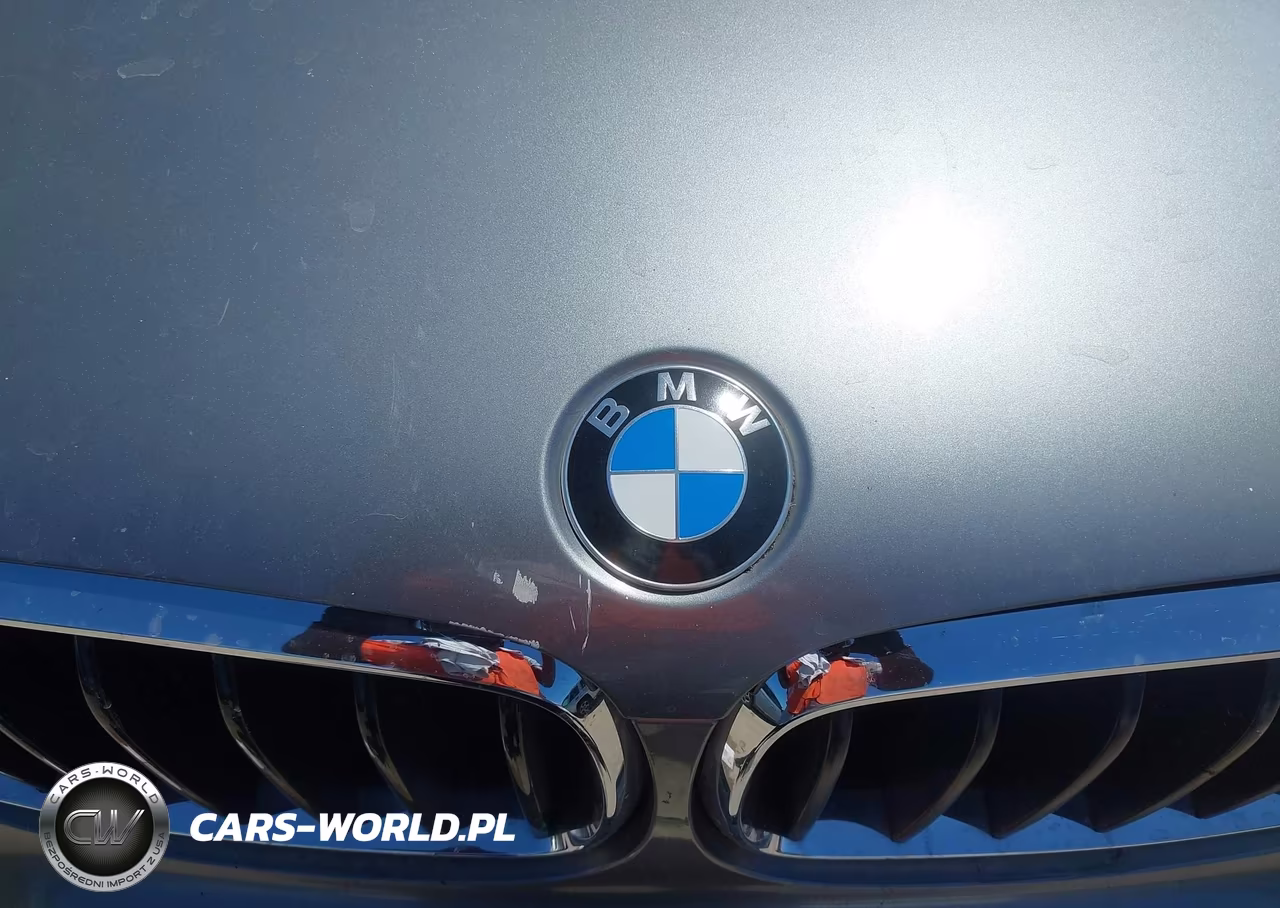 2017 BMW X6 Sdrive35I VIN:5UXKU0C39H0G69352 - 6