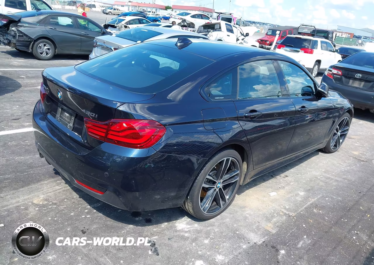 2020 BMW 430I Gran Coupe xDrive VIN:WBA4J3C09LBL12075 - 4