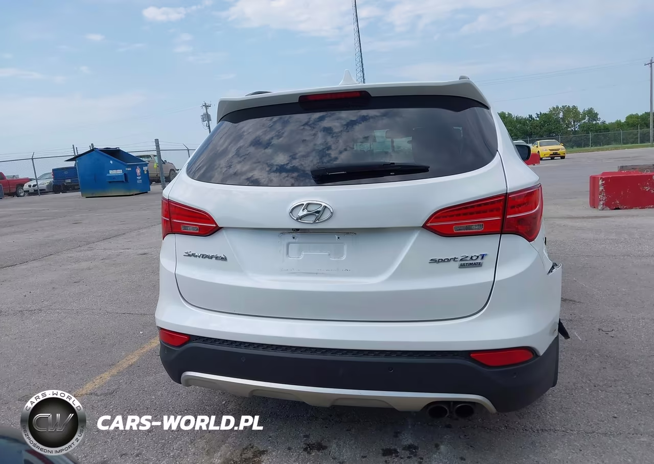 2016 Hyundai Santa Fe Sport 2.0L Turbo VIN:5XYZW4LA0GG313281 - 17
