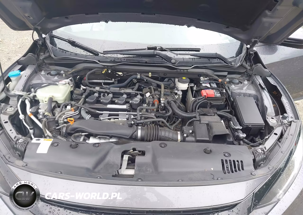 2019 Honda Civic Ex-L VIN:2HGFC1F7XKH651244 - 10