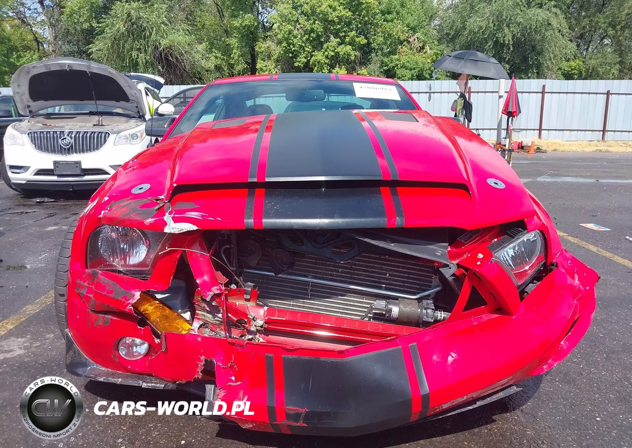 2007 Ford Shelby Gt500 VIN:1ZVHT88S175260366 - 12