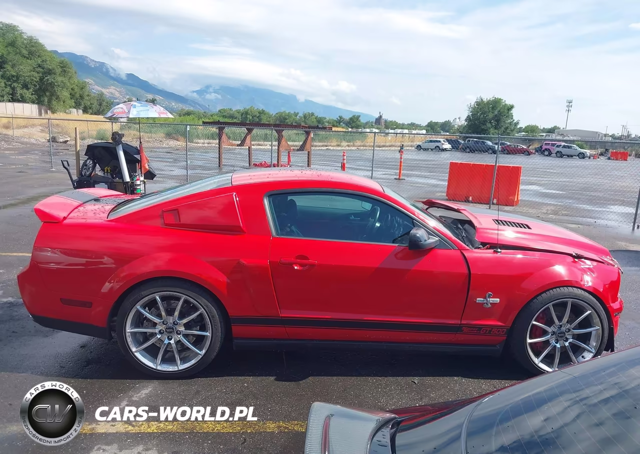 2007 Ford Shelby Gt500 VIN:1ZVHT88S175260366 - 13