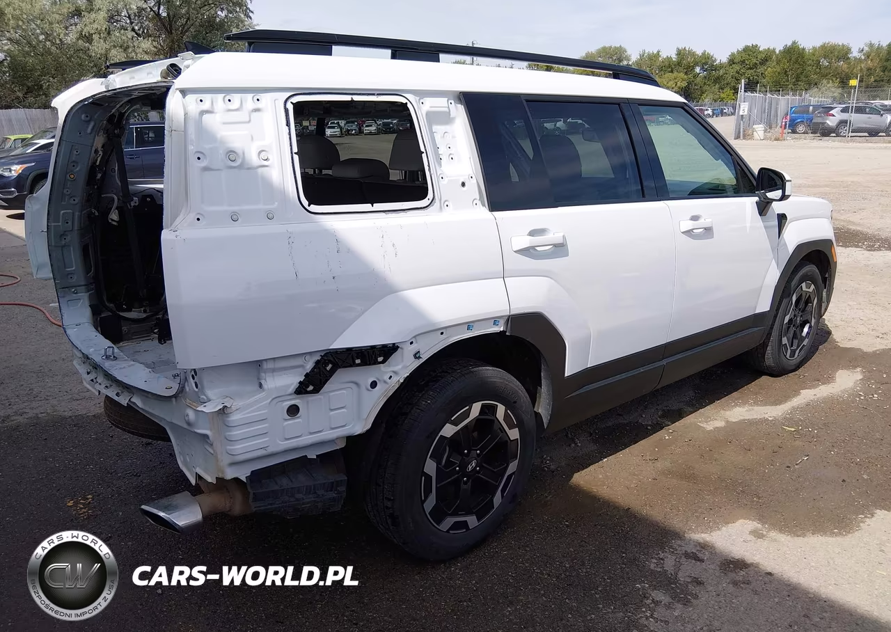 2024 Hyundai Santa Fe Sel VIN:5NMP2DGL1RH002398 - 4