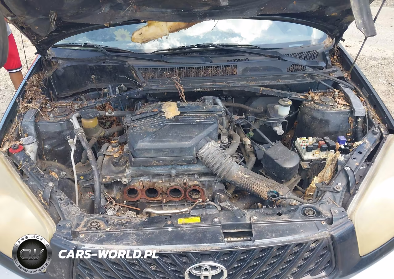 2003 Toyota Rav4 Base (A4) VIN:JTEGH20V130094937 - 10