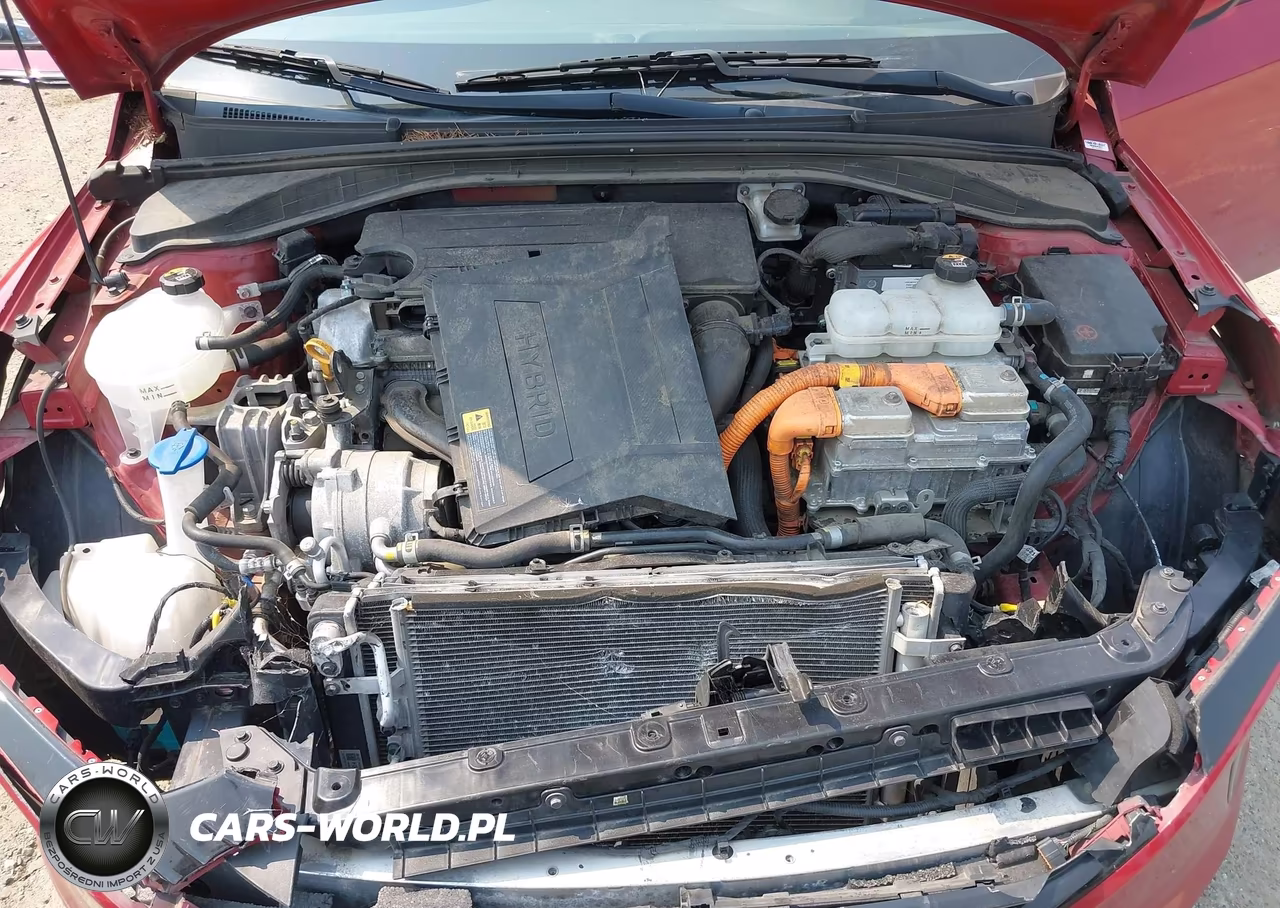 2019 Hyundai Ioniq Hybrid Blue VIN:KMHC65LCXKU174289 - 10