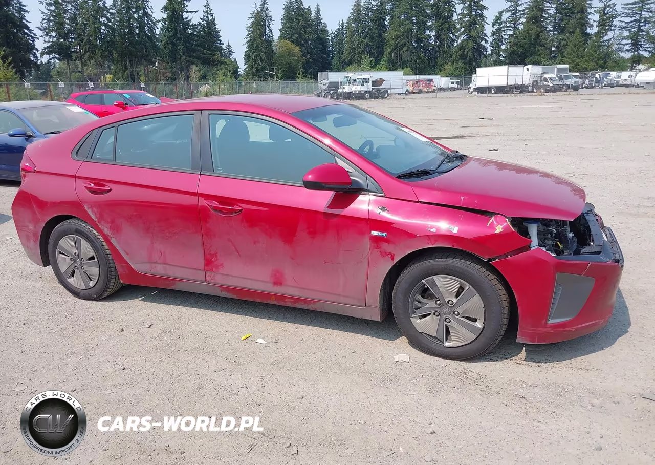 2019 Hyundai Ioniq Hybrid Blue VIN:KMHC65LCXKU174289 - 14