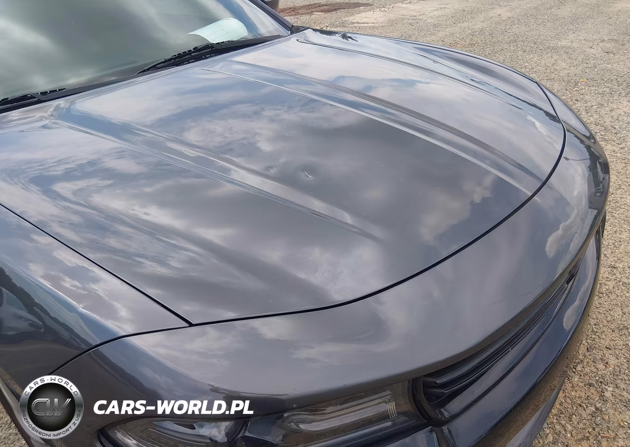 2020 Dodge Charger Sxt Awd VIN:2C3CDXJG4LH105022 - 17