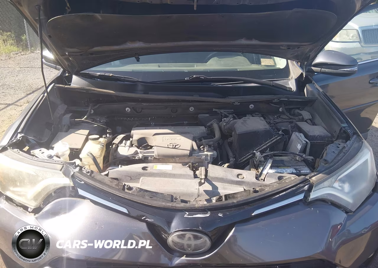 2017 Toyota Rav4 Xle VIN:2T3WFREV9HW341888 - 10