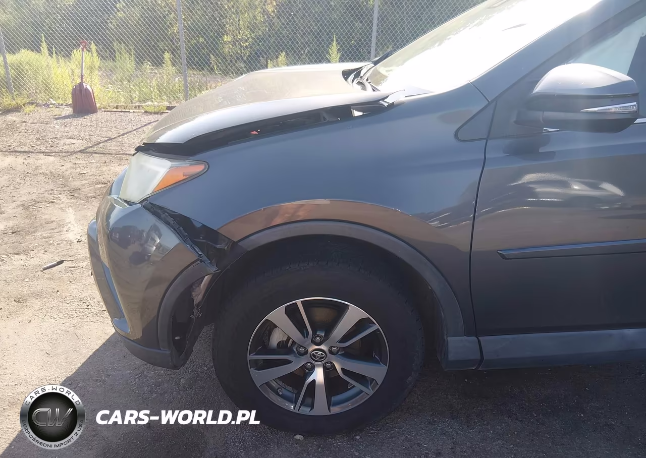 2017 Toyota Rav4 Xle VIN:2T3WFREV9HW341888 - 20