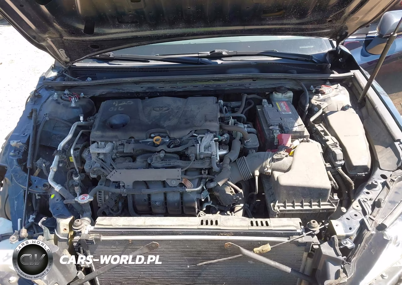 2018 Toyota Camry Se VIN:4T1B11HKXJU522884 - 10